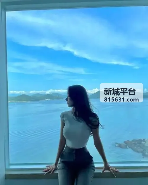 新城平台数据动态监控与效能分析流程